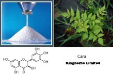 Kingherbs offer China Dihydromyricetin DMY 50%, 90%, 98% HPLC